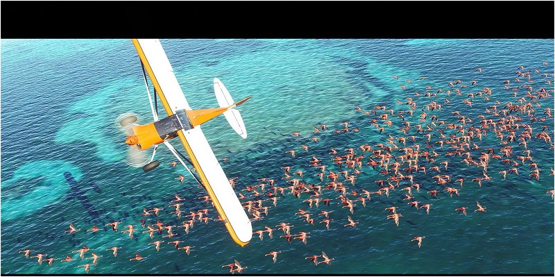 Microsoft XBOX Series X / Series S Game Xbox Series X Flight Simulator
